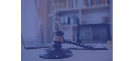 Winning State Justice Institute (SJI) Grants: A Practical Guide for Courts and Judicial Stakeholders